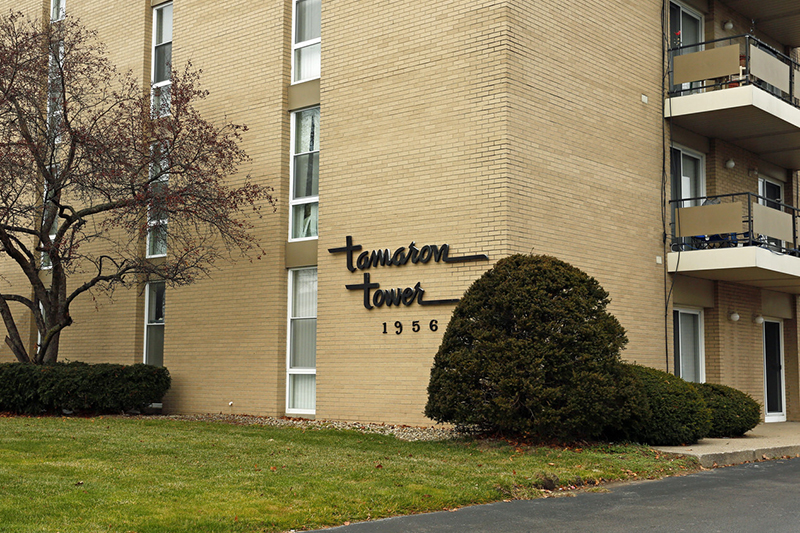 Tamaron Tower-properties